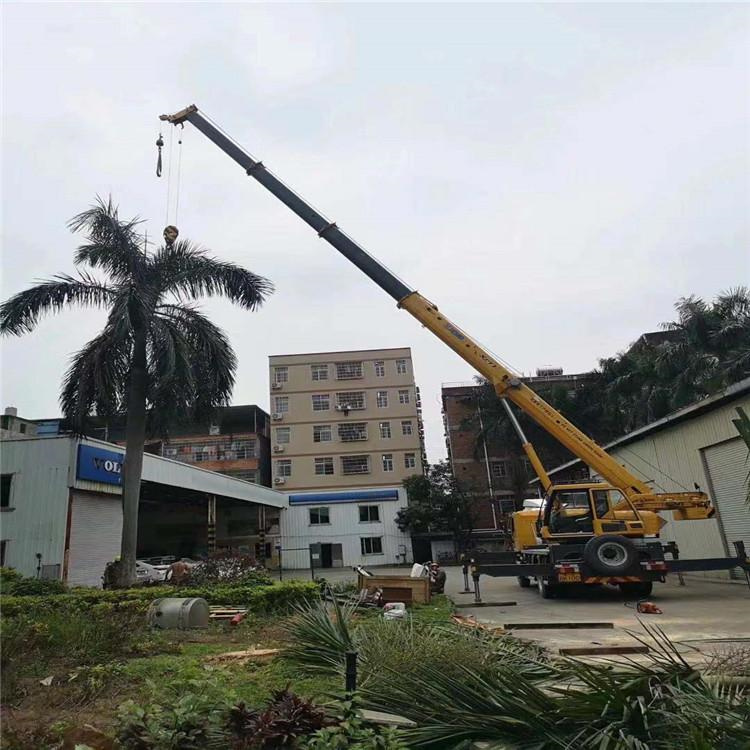 乐陵汽车吊出租多少钱？全面解析与市场行情